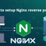 How to setup Nginx Reverse proxy?